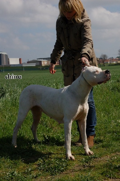 China de los Hijos de la Luna